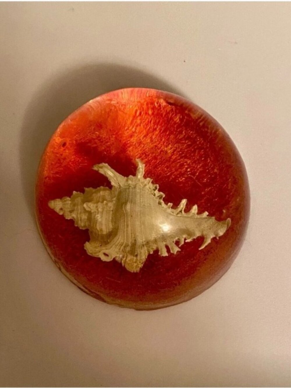 Vintage Lucite Seashell Paperweight